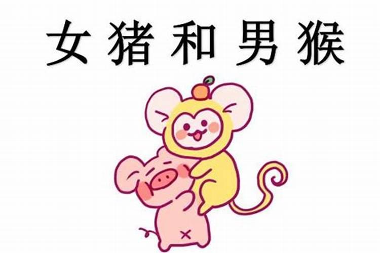 生肖配对表6合猴与猪相配