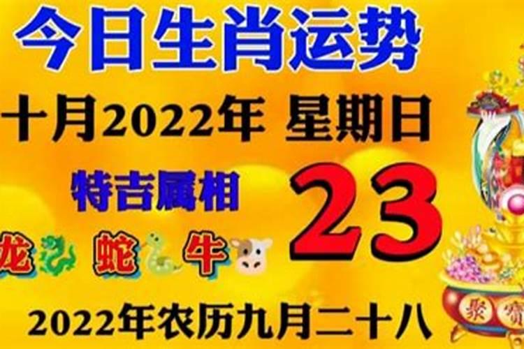 2021年10月22日是什么生肖