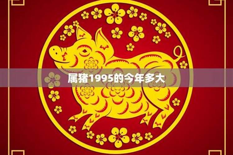 1995属猪的今年的运势怎么样呢