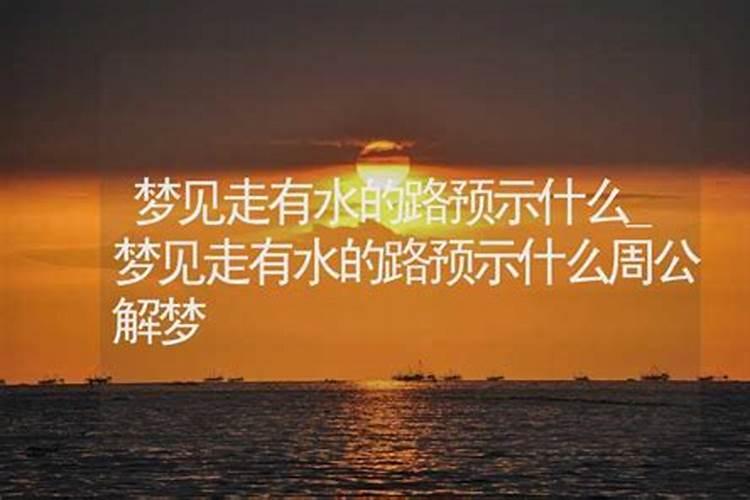 梦见路不能走有很多水什么意思