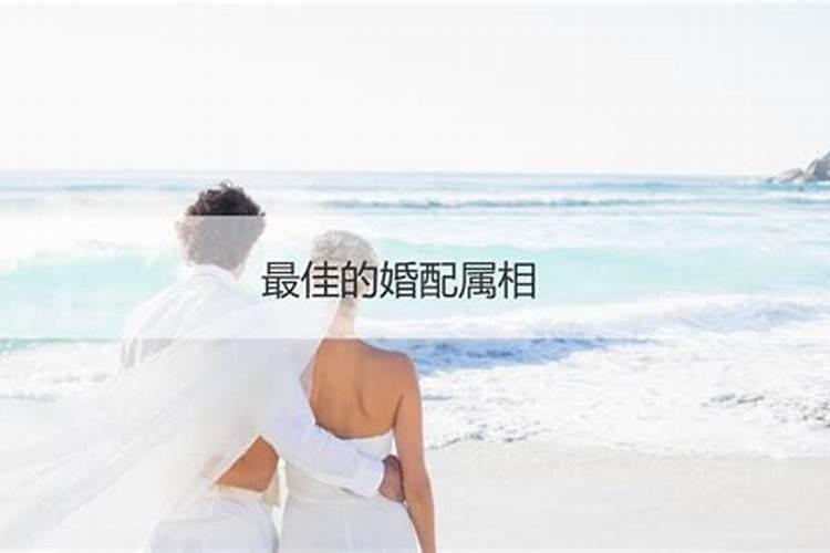 如何从八字分析婚姻