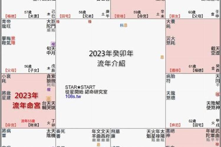 2023紫微斗数看流年财运