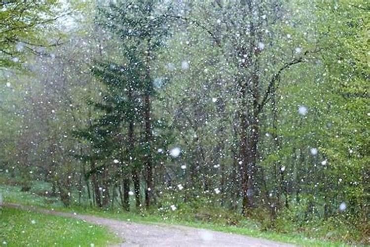 梦见狂风骤雨冰雹