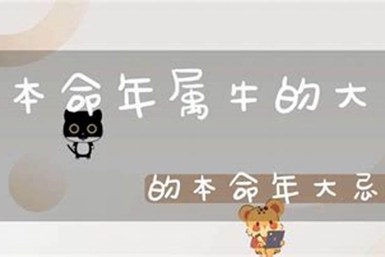 属牛48岁本命年送什么