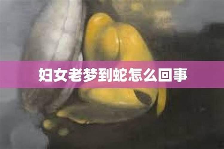 老是做梦到蛇怎么回事