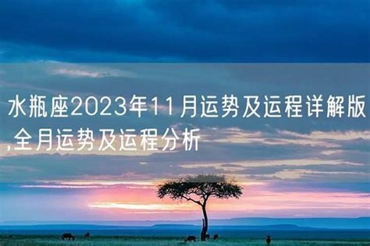 水瓶座11月运势2023年唐立淇