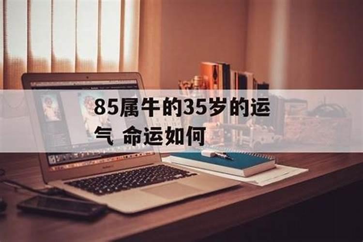 生肖85牛35岁后运势