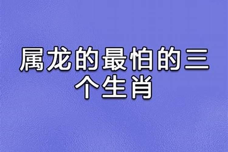 属狗的人最怕的三个生肖