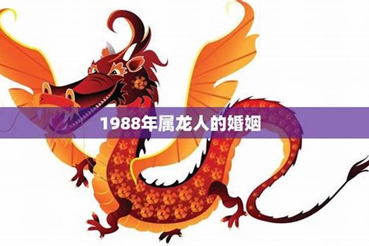 1988属龙人婚姻