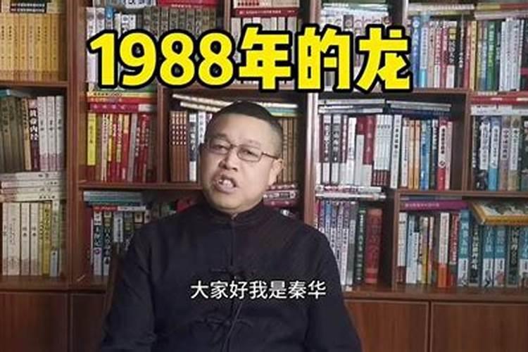 十二生肖1988