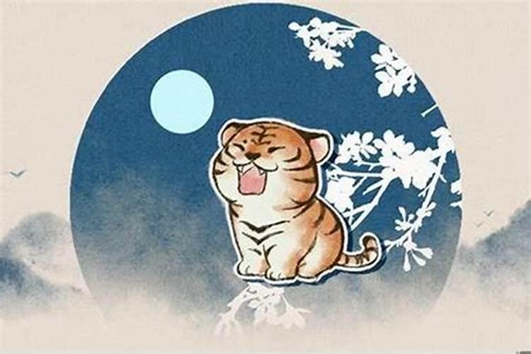 生肖猪生个虎宝宝好不好