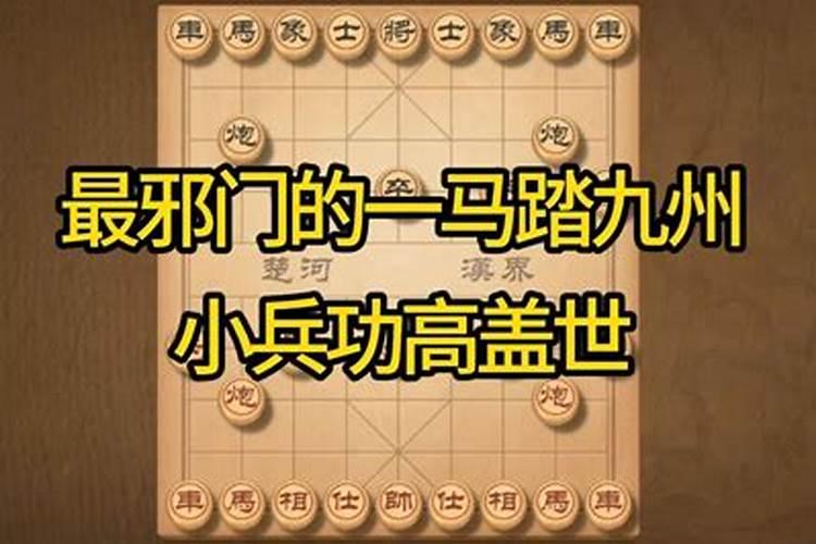 安排士马夸奇才指什么生肖