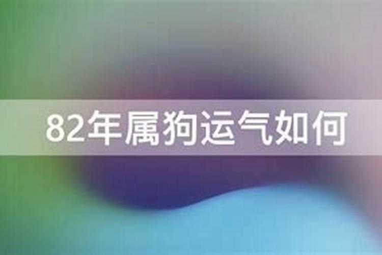 82年12月出生属狗运势怎么样