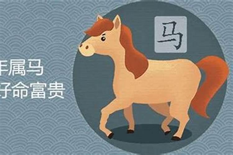 属鼠哪一年犯太岁最好