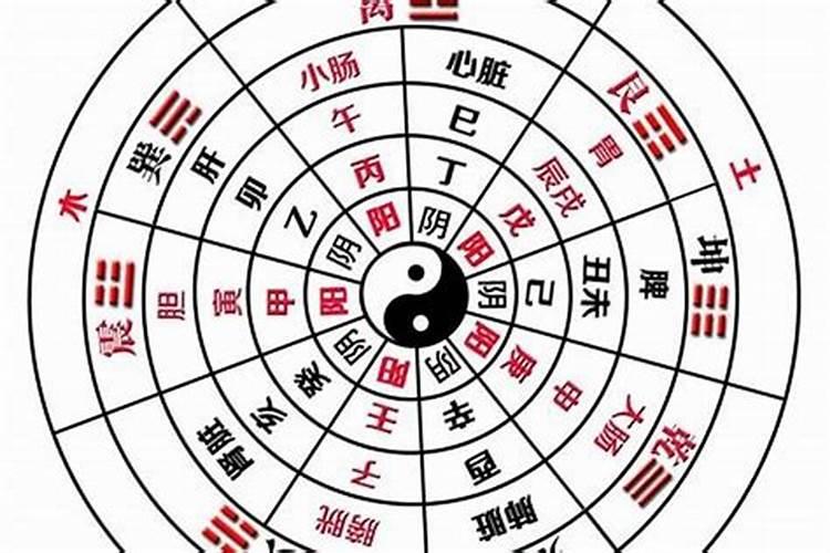 怎么根据生日时辰计算一个人的五行