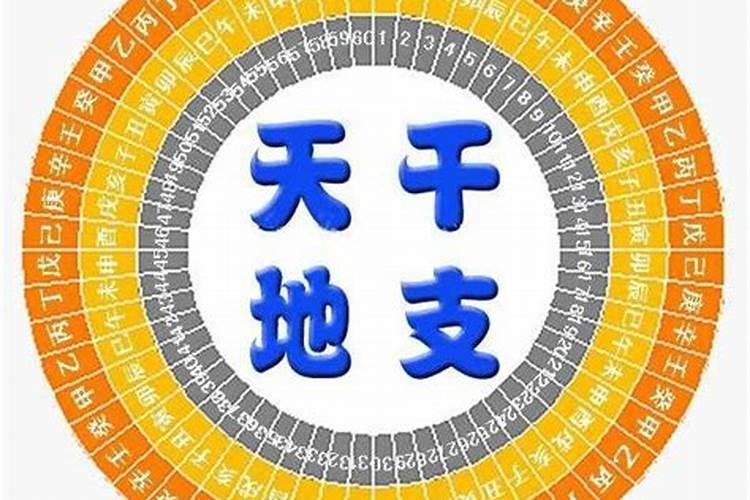 辰戌丑未全的八字