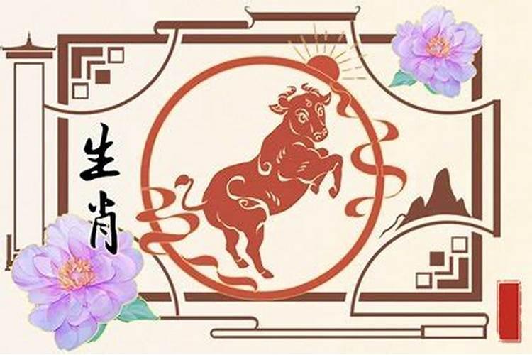 属牛和属羊的适合生什么宝宝