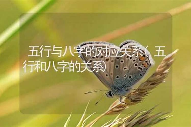 八字命理中三两八钱是什么命运