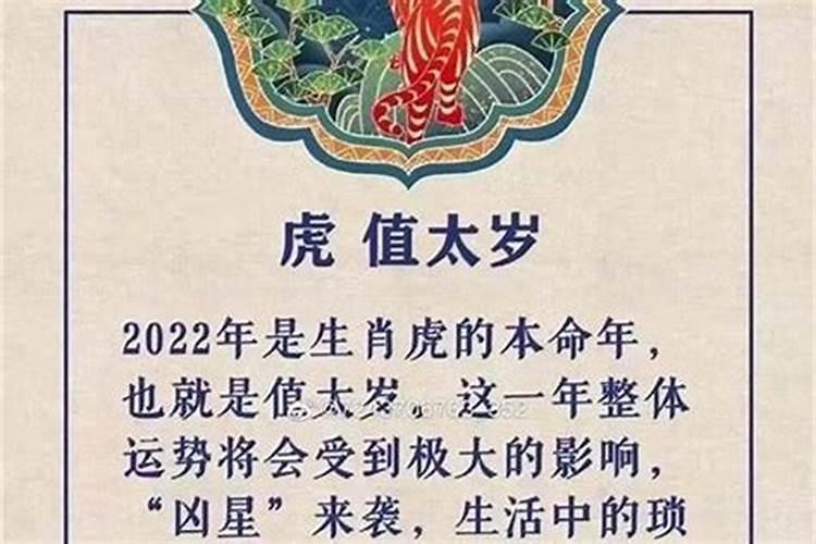 2022属虎宝宝取名字适用字