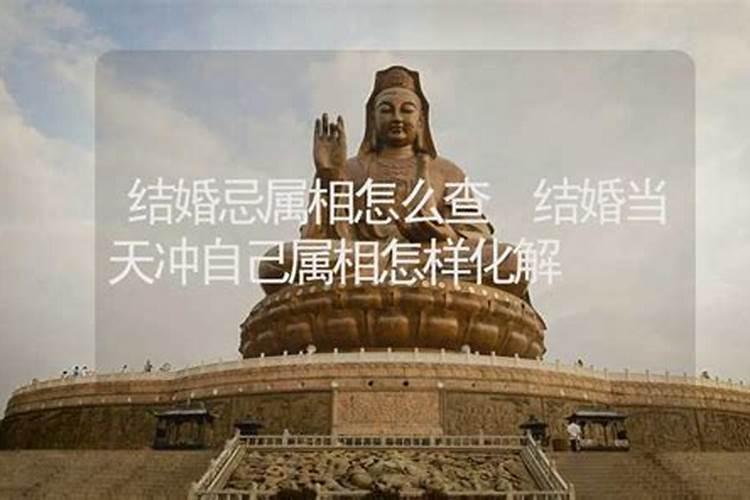 当日冲属相什么意思