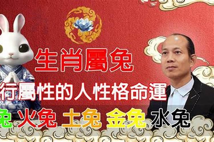 兔的五行属性是什么意思