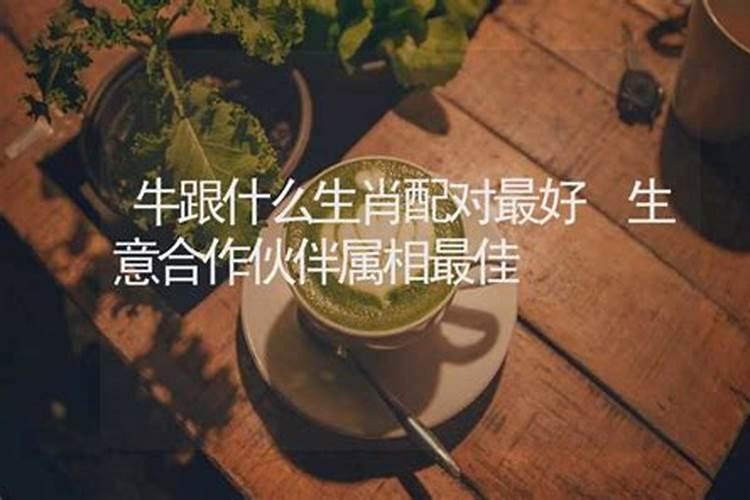 合伙生意生肖配对