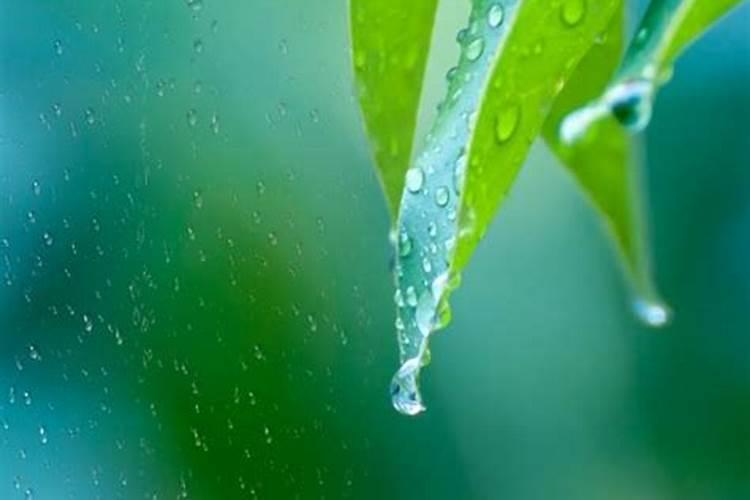 晚上睡觉梦见下雨就感冒