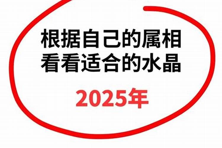 属虎幸运颜色和数字2023