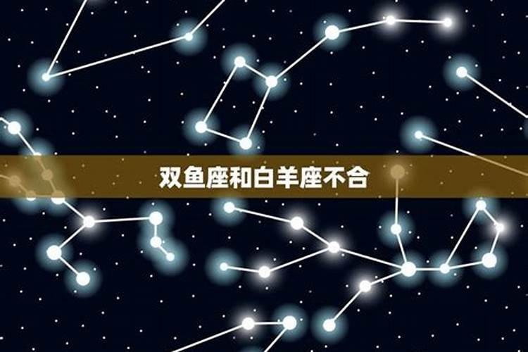 双鱼座与哪个星座不合