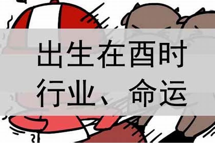 酉时出生的人命运解析大全