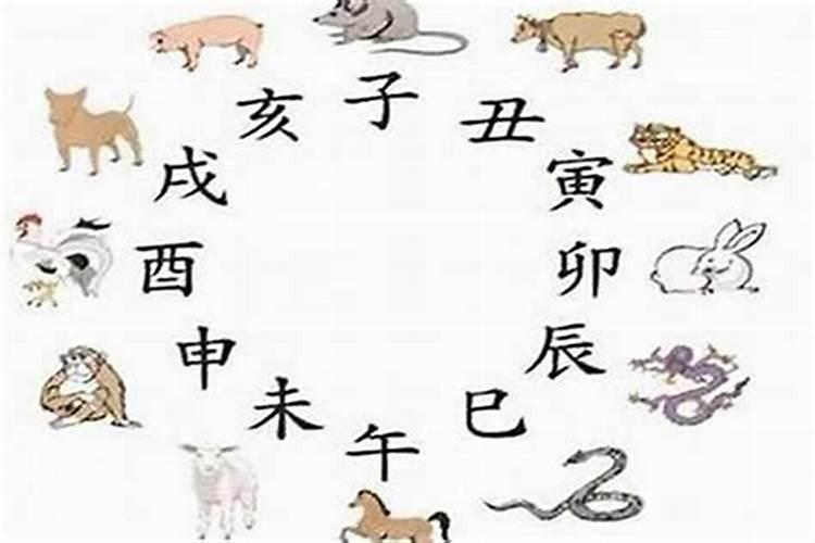 腊月十二出生的猪人是什么命运