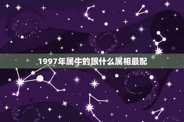 1997属牛和什么最配对