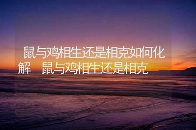 鸡和鼠不合怎么化解