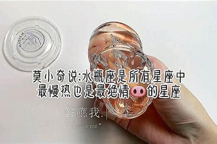 陶白白水瓶座语录