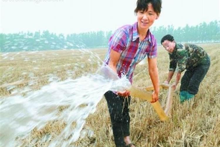 女人梦见自己浇地