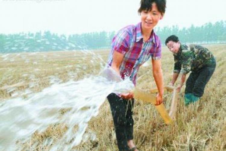 女人梦见自己浇地