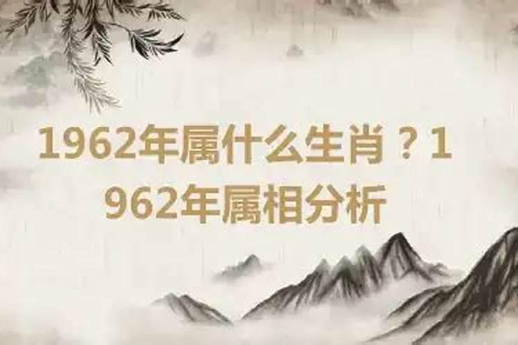 1962年生肖属什么命运