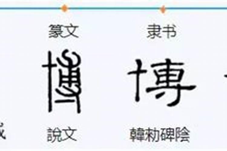 博字五行属什么