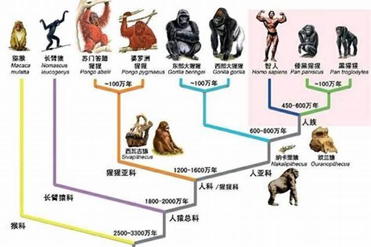 梦到在学校下雪了什么意思