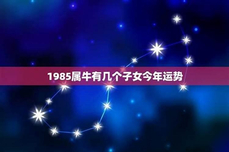 1985属牛有几个子女2023