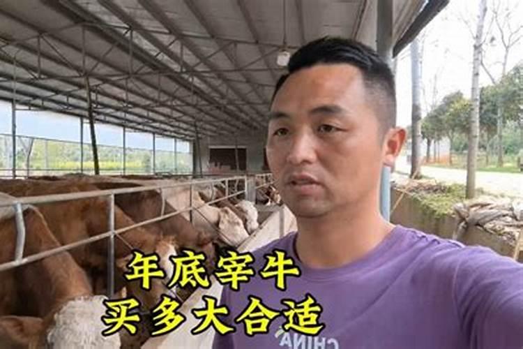 梦到杀牛卖牛肉