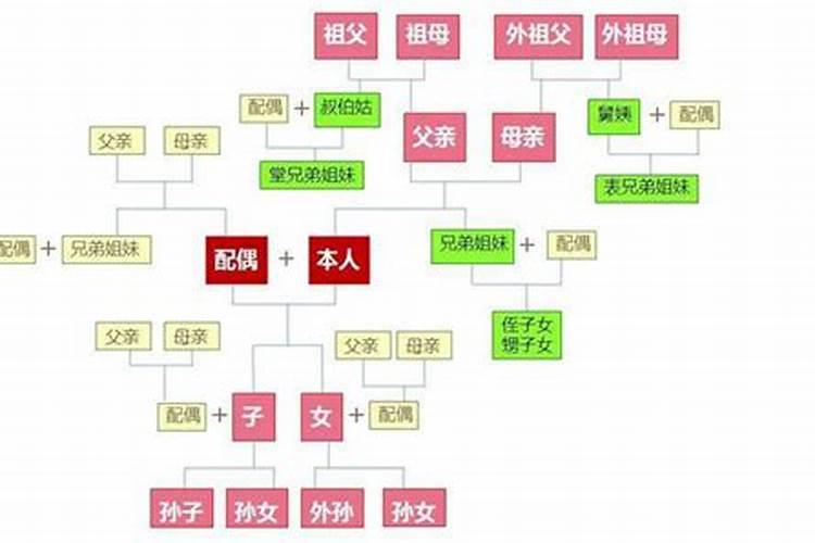 1977年属蛇女后半生运势