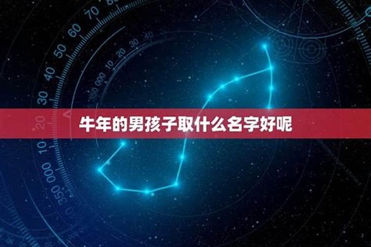 2023属牛的男孩子起什么名字好