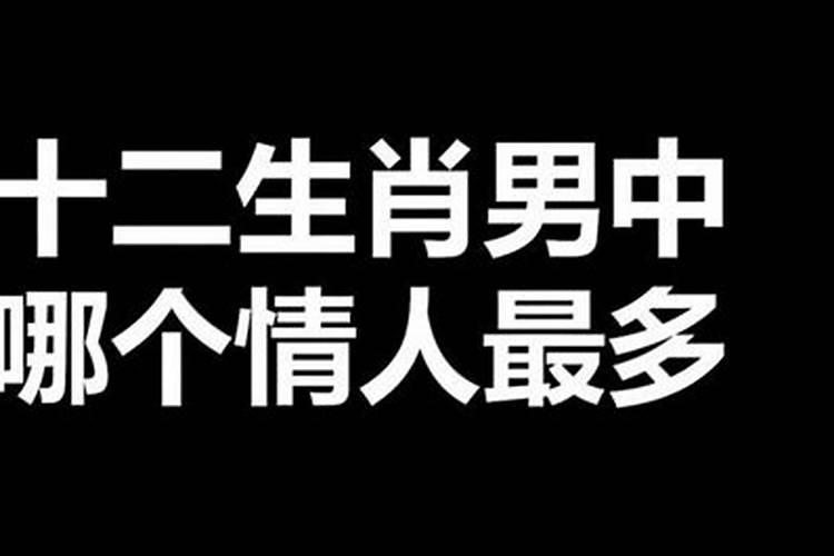 那个属相情人最多