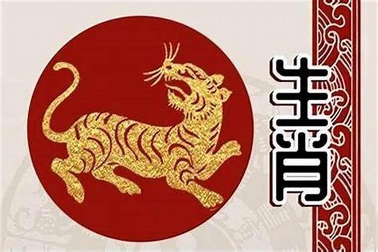 85年农历5月的牛是什么命运