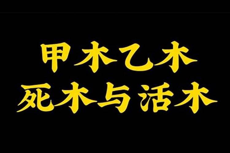 八字命理甲木和乙木