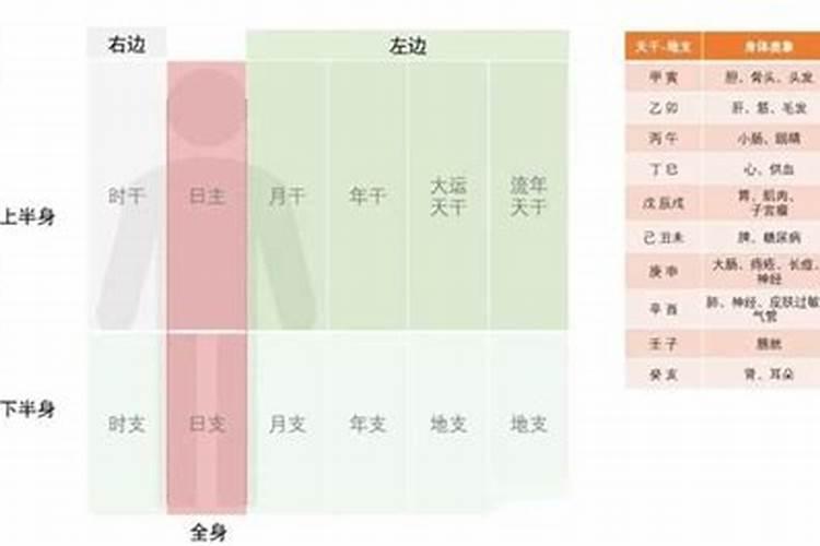 八字解析先天体质与疾病的关系