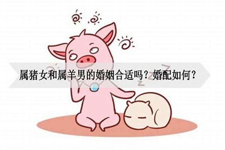 猪女跟羊男合不合