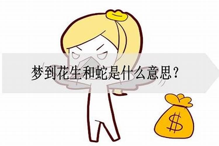 孕妇梦到花生仁是什么意思啊周公解梦梦见蛇咬我