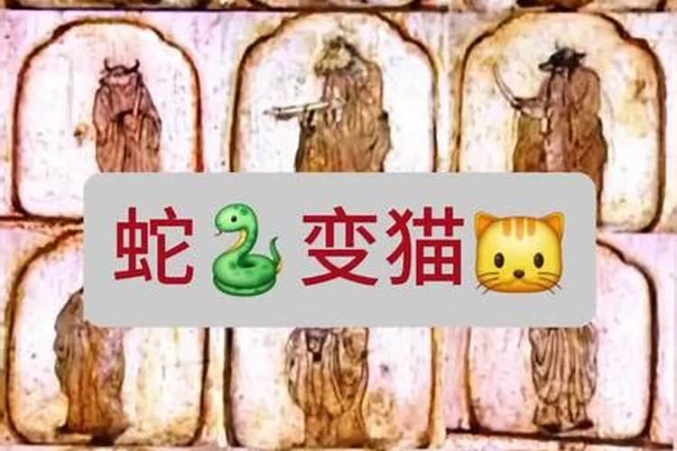 十二生肖从哪年开始出现的